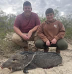 Javalina Hunts with professional hunting guide Dan Moody Hunting Services in Texas