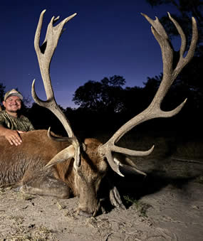 Red Stag Hunting Trip in Texas