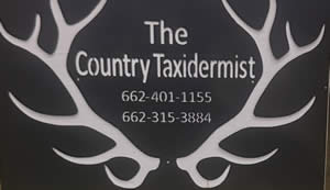 Exotic Hunts Taxidermy in Texas