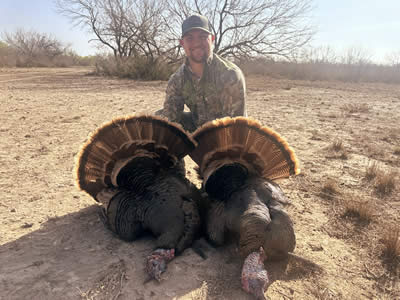 Turkey Hunt