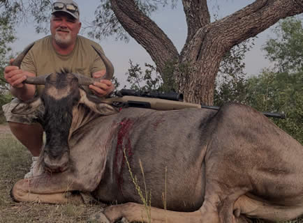 Wildebeest Hunting Trip in Texas